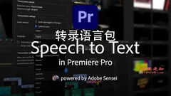 Adobe Premiere Pro 2025 中文英语转录语言包 2.1.6 预激活版破解版免费下载(亲测有效)
