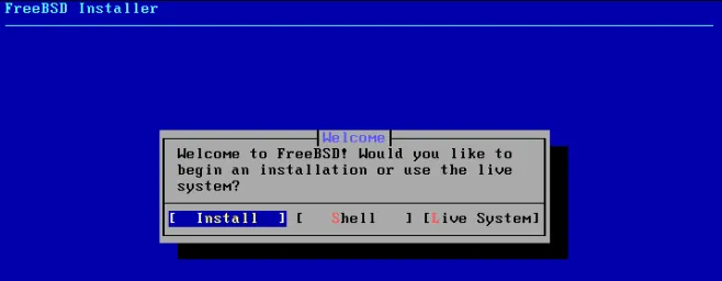 freebsd install 启动程序