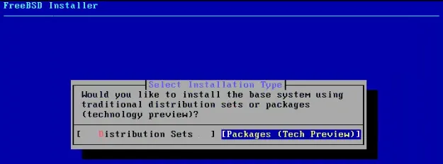 freebsd install 安装模式